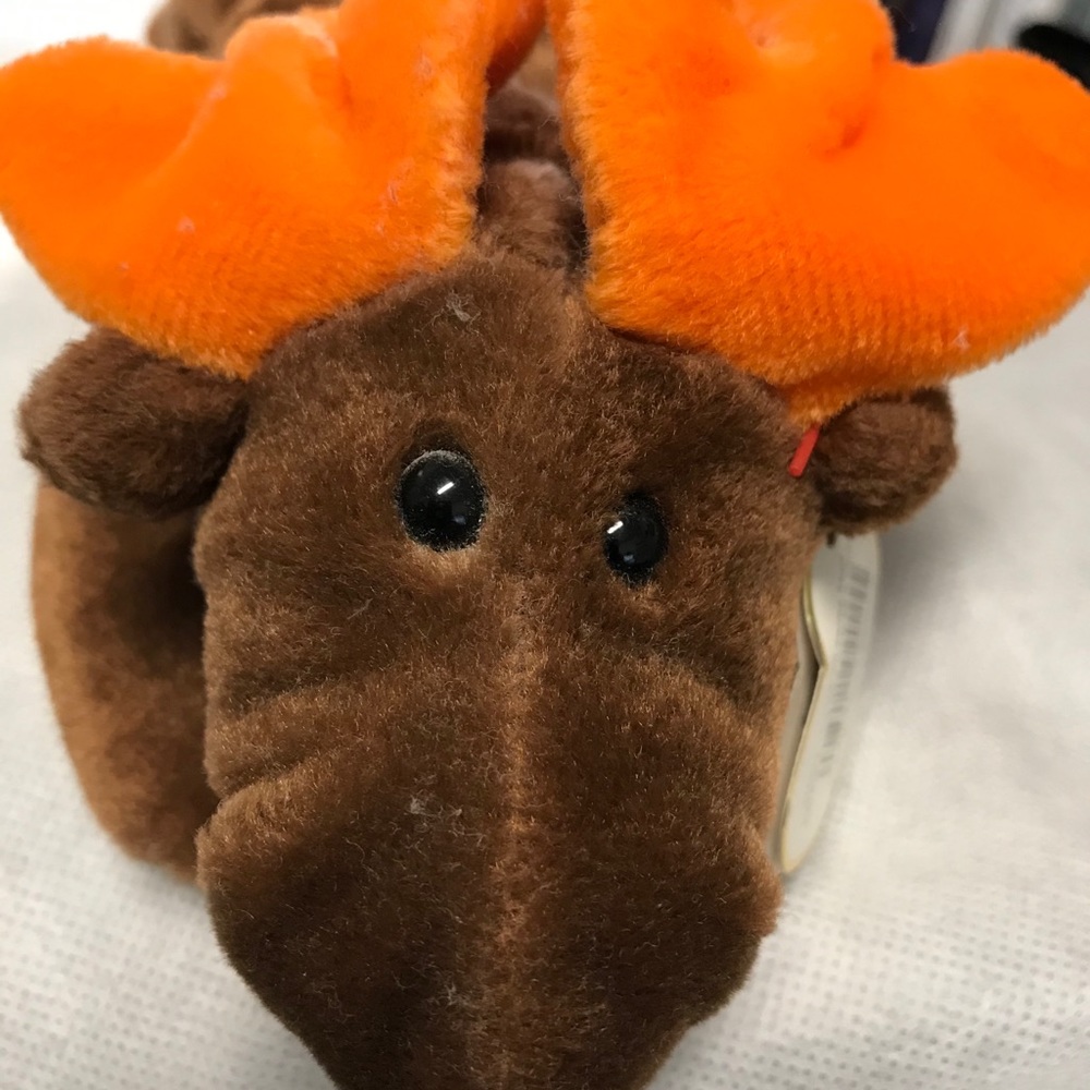 Chocolate- Beanie Babies - NWT
